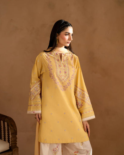 Hajra 3Pcs Embroidery