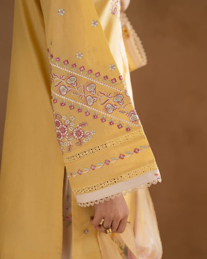 Hajra 3Pcs Embroidery